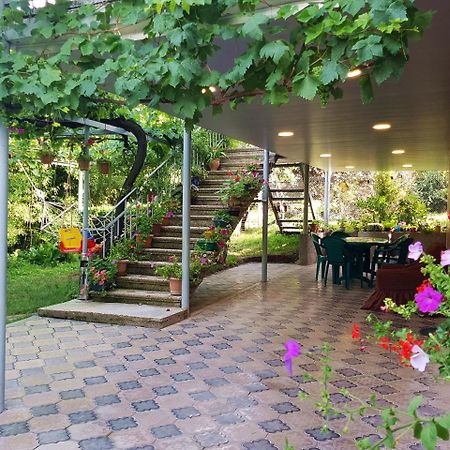 Valiko House In Telavi Hotel Eksteriør billede