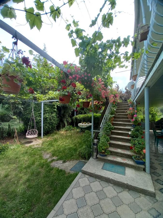 Valiko House In Telavi Hotel Eksteriør billede