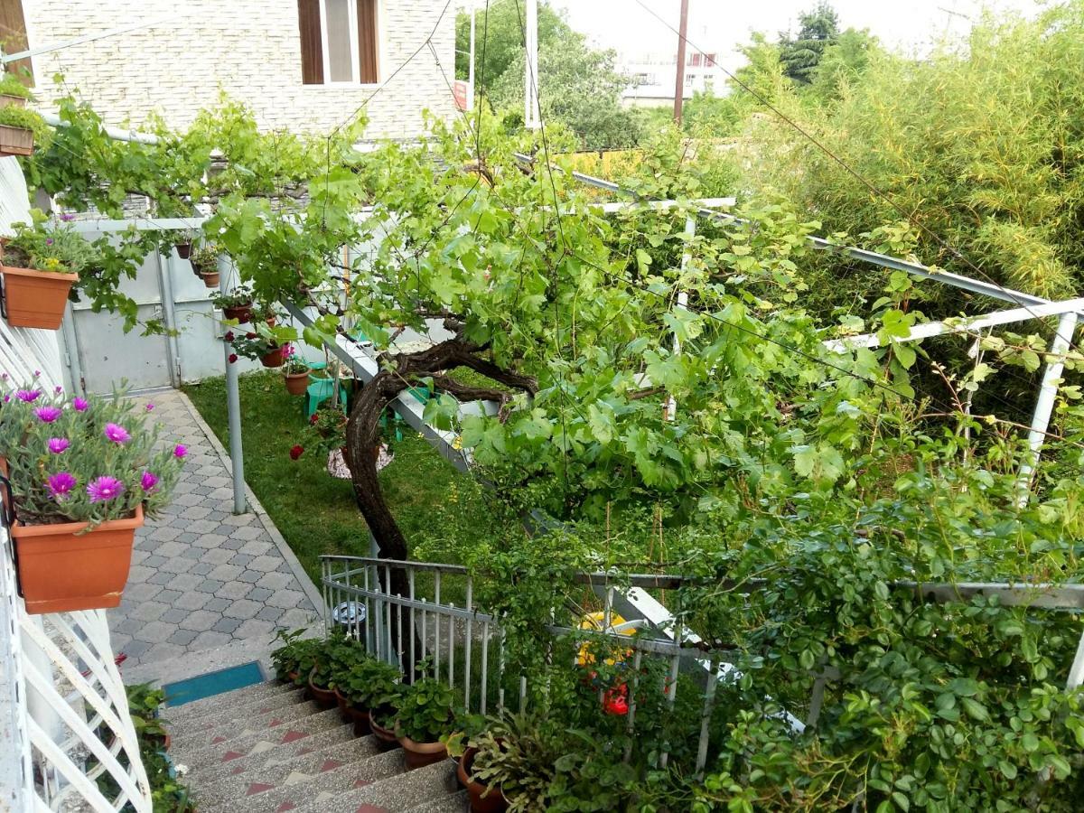 Valiko House In Telavi Hotel Eksteriør billede